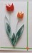 quilling 24