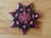tea bag folding 11