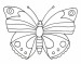 motyl3