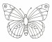 motyl4